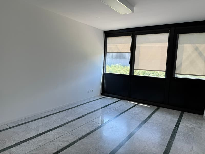 Spacious room with large windows, white walls, and a marble-tiled floor with dark accents. The room appears to be empty, providing a clean and minimalist look.