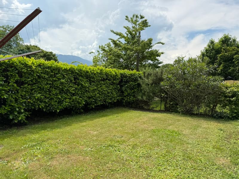 Lush green garden with a well-manicured lawn, surrounded by a tall hedge. There are various trees and shrubs in the background, creating a serene and natural environment. The image suggests a private outdoor space with potential for relaxation or recreati