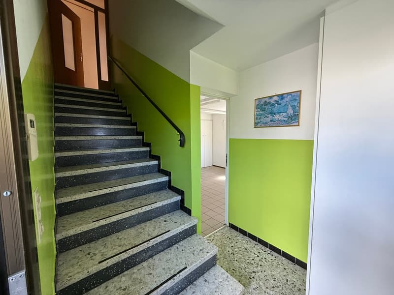 Maison bifamiliale 5,5 + 2,5 pièces, quartier prestigieux, Giubiasco (15)