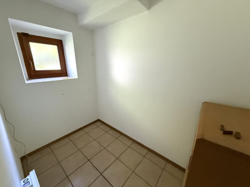 Maison bifamiliale 5,5 + 2,5 pièces, quartier prestigieux, Giubiasco (13)