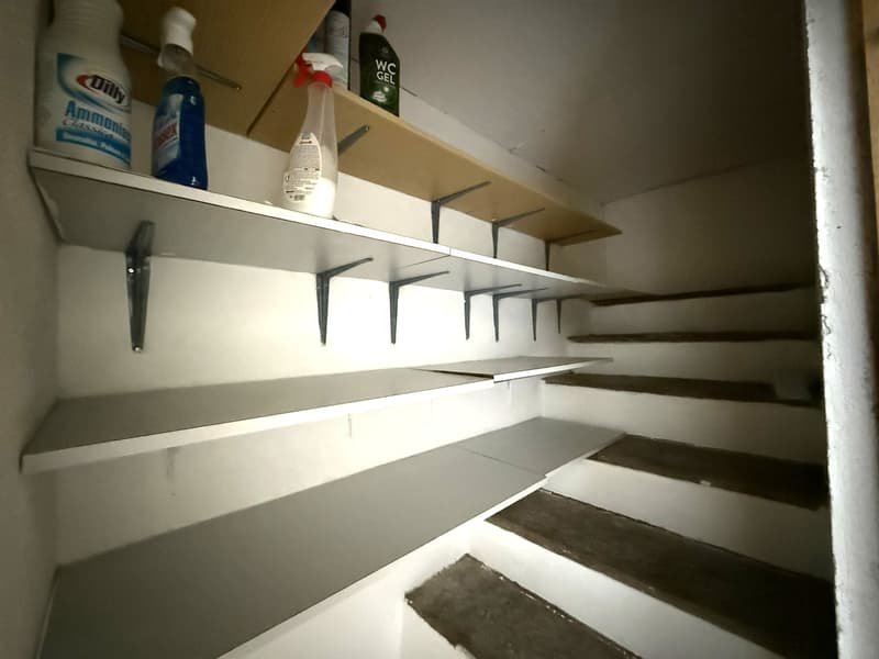 Maison bifamiliale 5,5 + 2,5 pièces, quartier prestigieux, Giubiasco (14)