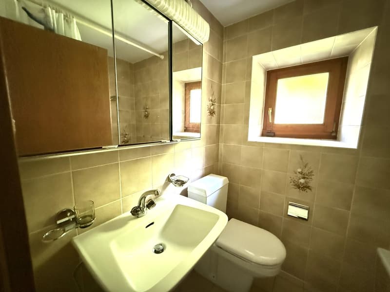 Maison bifamiliale 5,5 + 2,5 pièces, quartier prestigieux, Giubiasco (11)