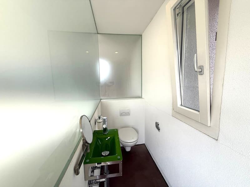 Green sink, white toilet, white walls, window