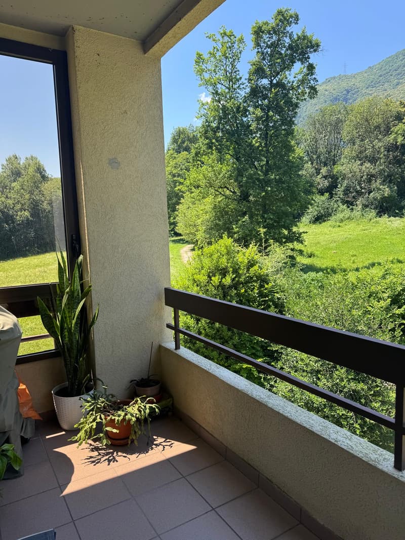 terraced balcony with metal railing, several potted plants, tile flooring, beautiful landscape view