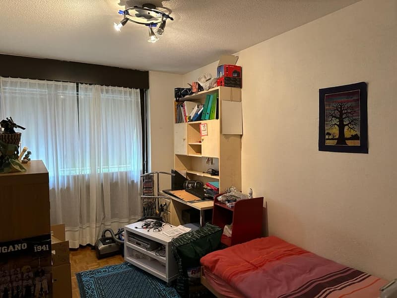 Appartamento 4.5 locali, vicino a scuole e servizi (8)