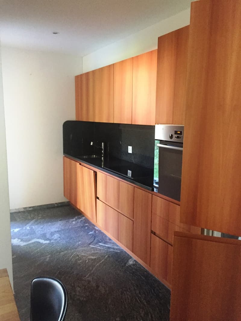Arbedo, modernes 3.5-Zimmer-Wohnung mit großem Garten (4)