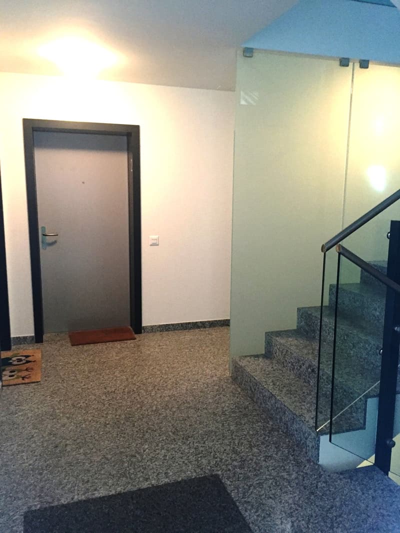 Arbedo, modernes 3.5-Zimmer-Wohnung mit großem Garten (2)