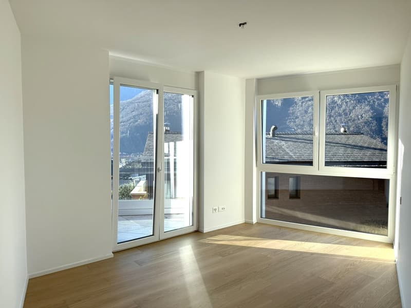 Open room with two glass sliding doors, view of mountains in the distance, wooden floor