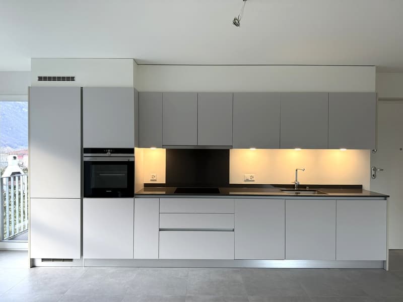 Modern kitchen with grey cabinets, integrated appliances, granite countertop, stainless steel sink and faucet, and a black stove and oven.