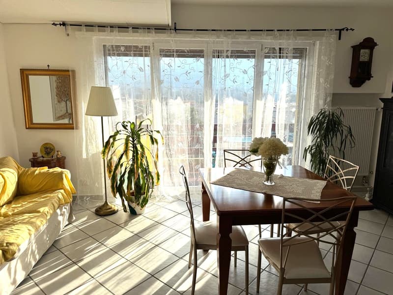 Dining room, yellow couch, wooden table, chairs, plants, radiator, picture frame, mirror, lamp, clock