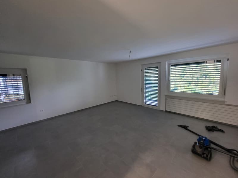 Appartement 5.5 pièces rénové à Medeglia (6)