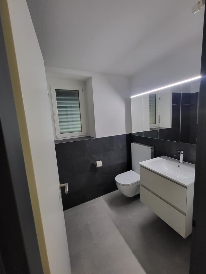 Appartement 5.5 pièces rénové à Medeglia (7)