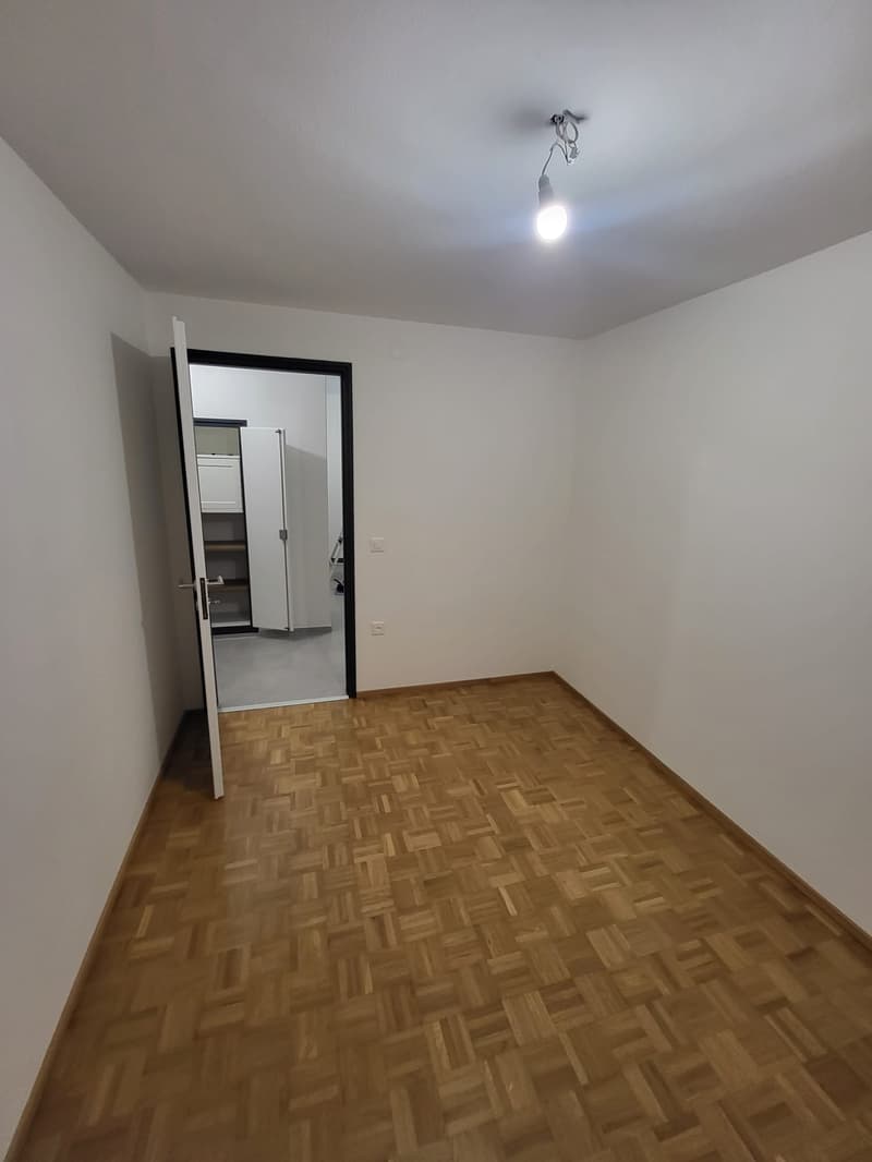 Empty room, hardwood floor, open door, wardrobe, ceiling light