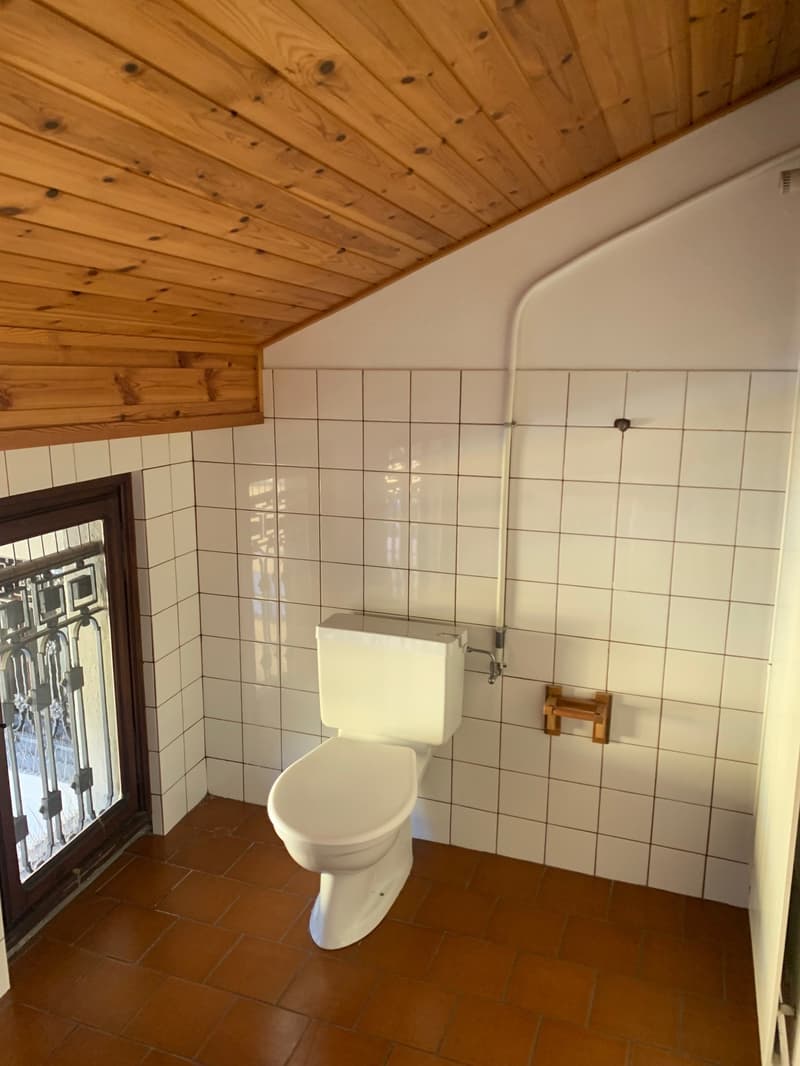white tiles, wooden ceiling, brown tiled floor, white toilet, small window