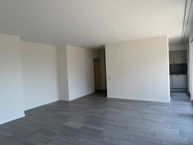 Appartement lumineux de 4.5 pièces avec balcon à Bellinzona (6)