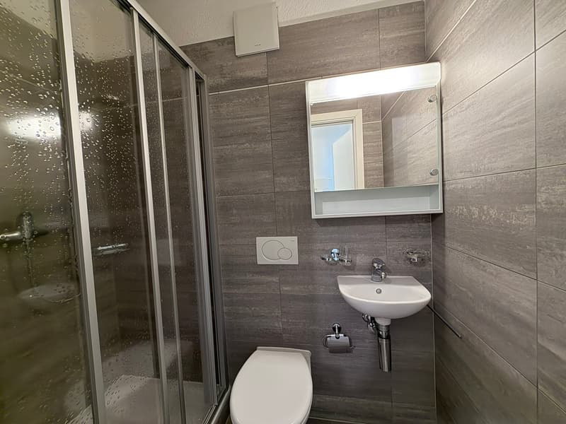 Appartement lumineux de 4.5 pièces avec balcon à Bellinzona (7)