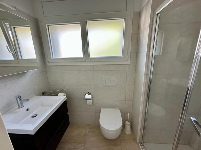 Piacevole 3.5 locali, buone finiture, ottima posizione! (7)