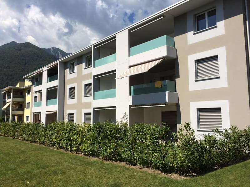 Piacevole 3.5 locali, buone finiture, ottima posizione! (2)