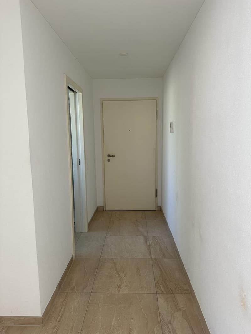 Piacevole 3.5 locali, buone finiture, ottima posizione! (3)