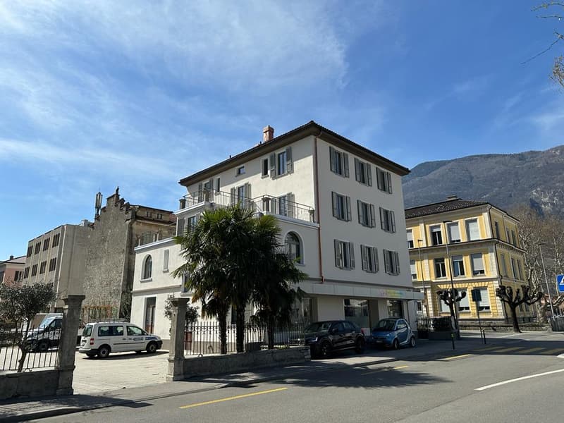 Luminoso appartamento di 2.5 locali a Bellinzona (1)
