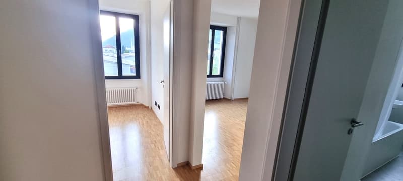 Luminoso appartamento di 2.5 locali a Bellinzona (4)