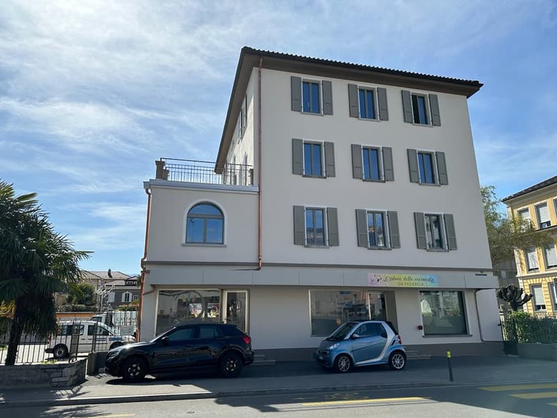Luminoso appartamento di 2.5 locali a Bellinzona (2)
