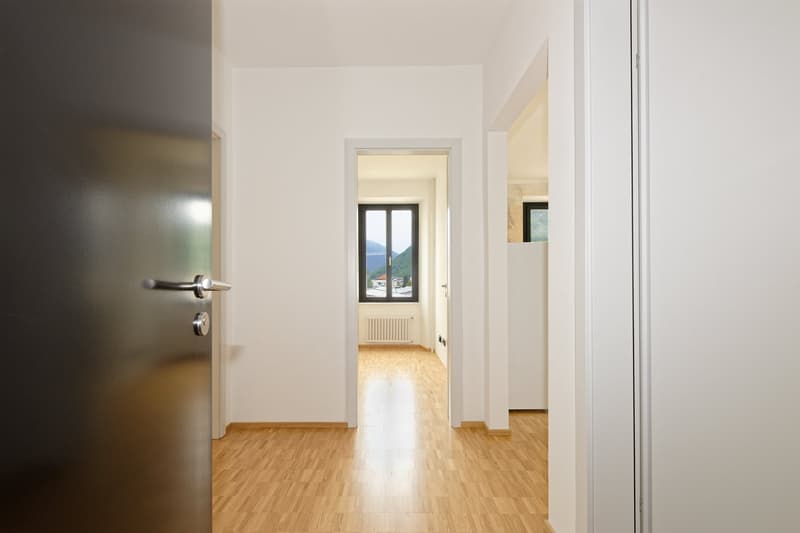 Luminoso appartamento di 2.5 locali a Bellinzona (3)