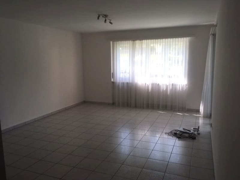 Appartamento 3.5 locali, zona residenziale ben servita (4)