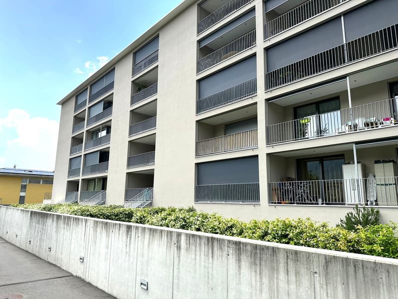 Spazioso 3.5 locali, zona residenziale ben servita! (2)