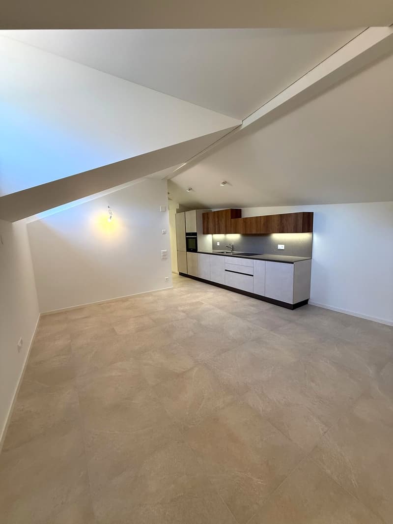 Appartamento di 2.5 locali in affitto a Bellinzona – Piazza Indipendenza (8)