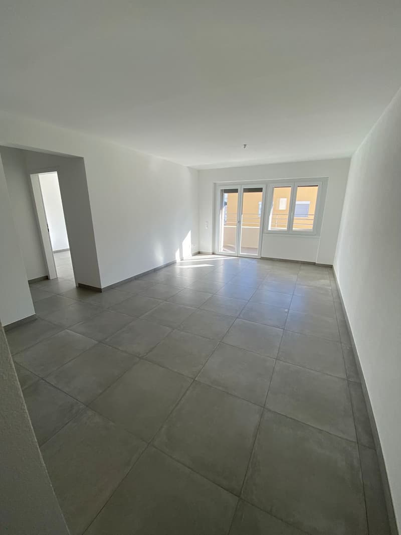 Appartamento pari al nuovo di 3.5 locali, Sementina (8)