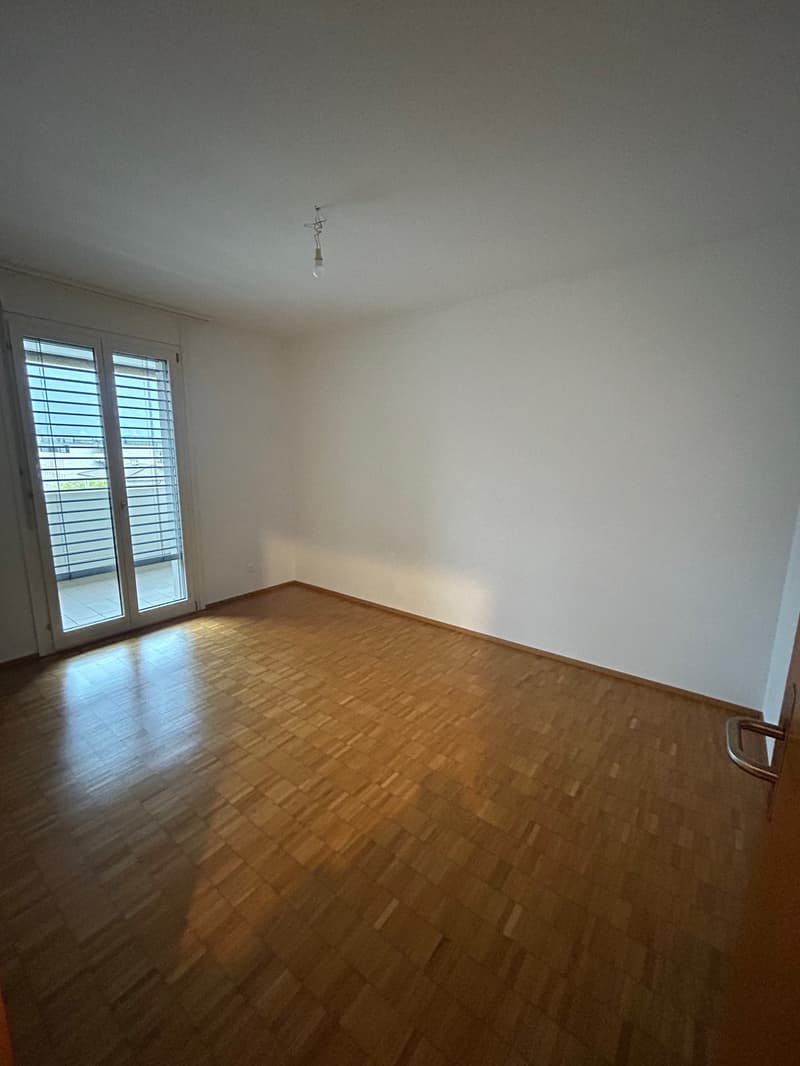 Piacevole 3.5 locali, centralissimo (8)