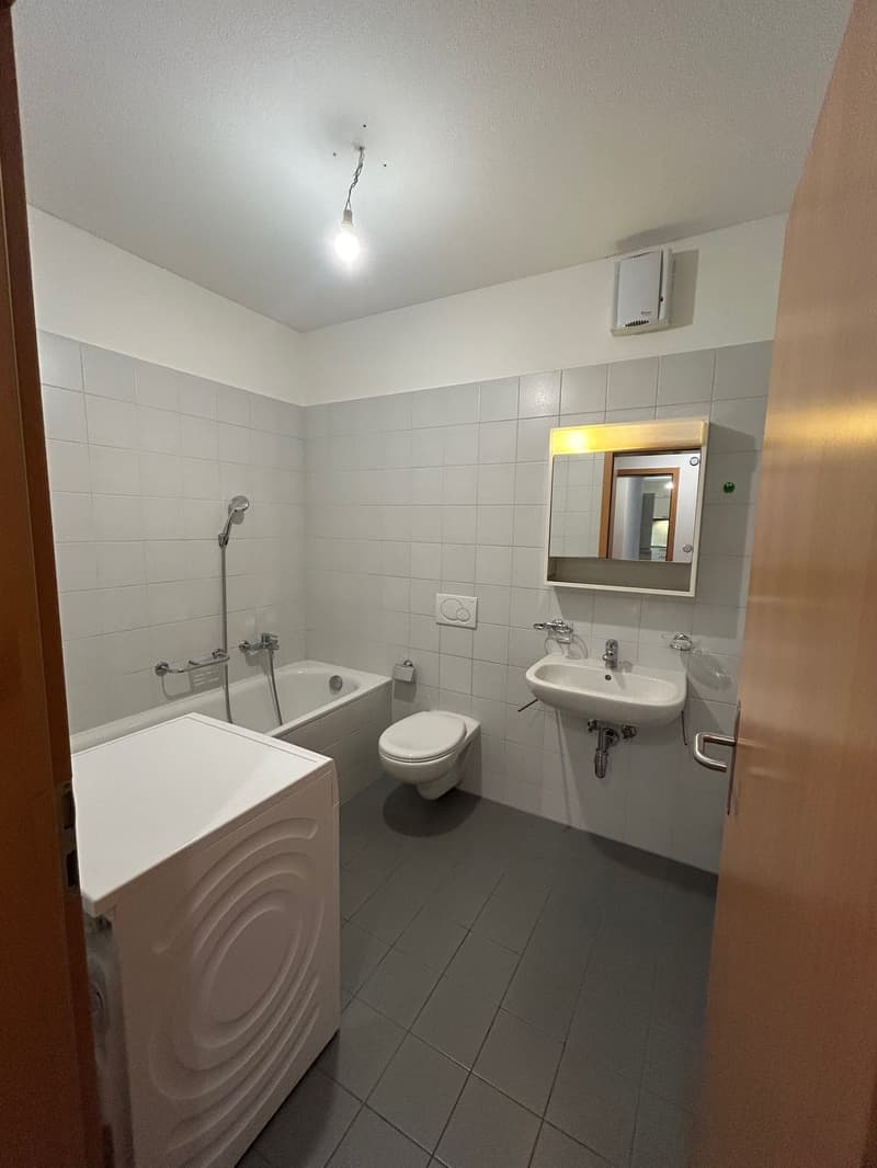 Piacevole 3.5 locali, centralissimo (10)