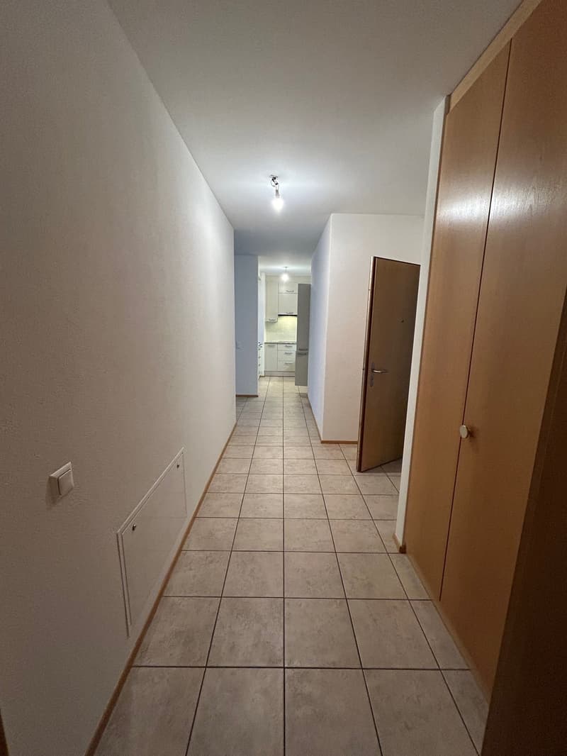 Piacevole 3.5 locali, centralissimo (5)
