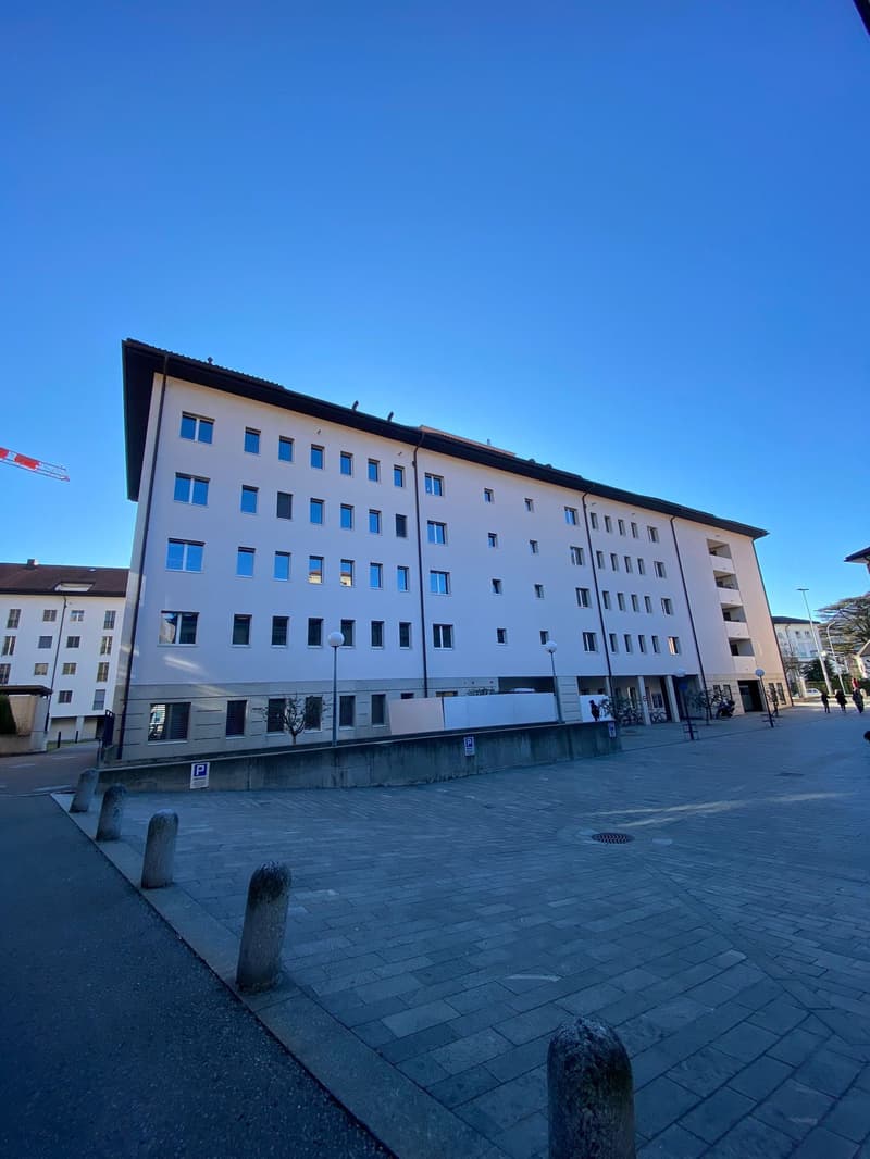 Piacevole 3.5 locali, centralissimo (3)