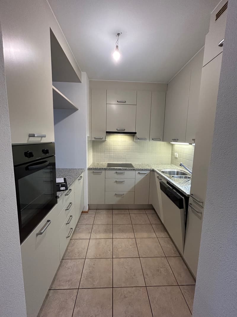 Piacevole 3.5 locali, centralissimo (6)