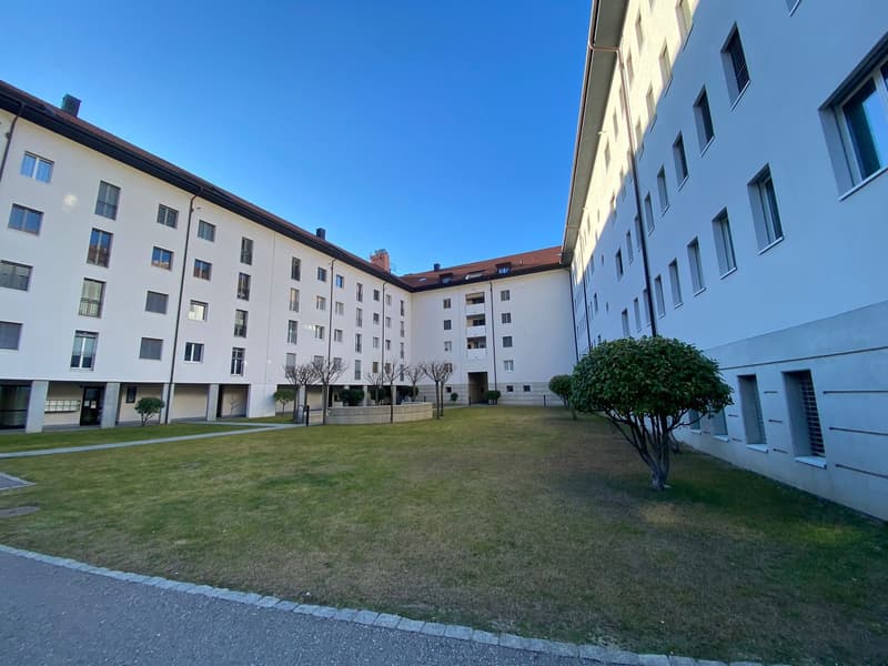 Piacevole 3.5 locali, centralissimo (1)