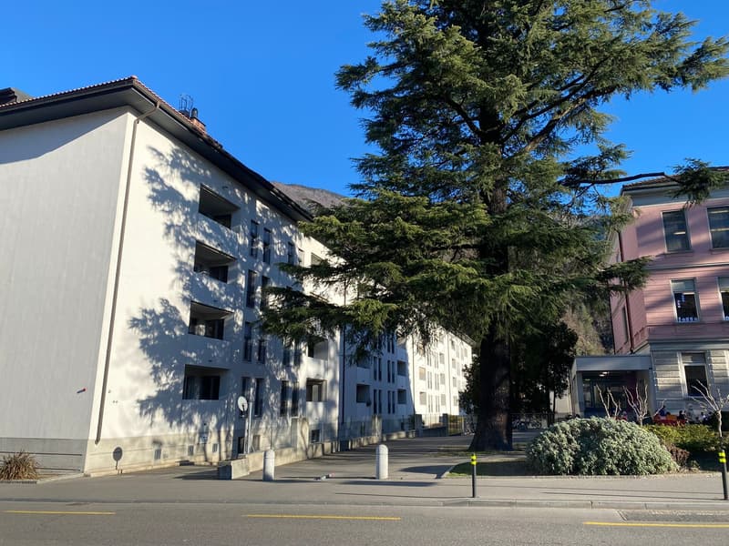 Piacevole 3.5 locali, centralissimo (4)