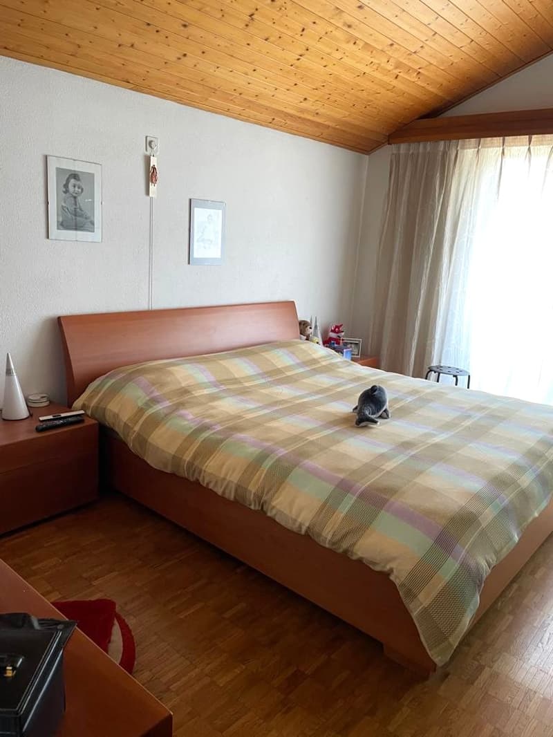 Piacevole casa 4.5 locali + hobby (9)