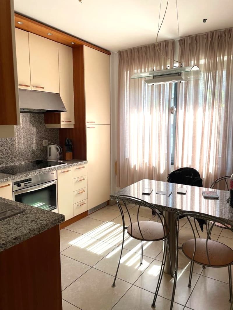 Piacevole casa 4.5 locali + hobby (6)