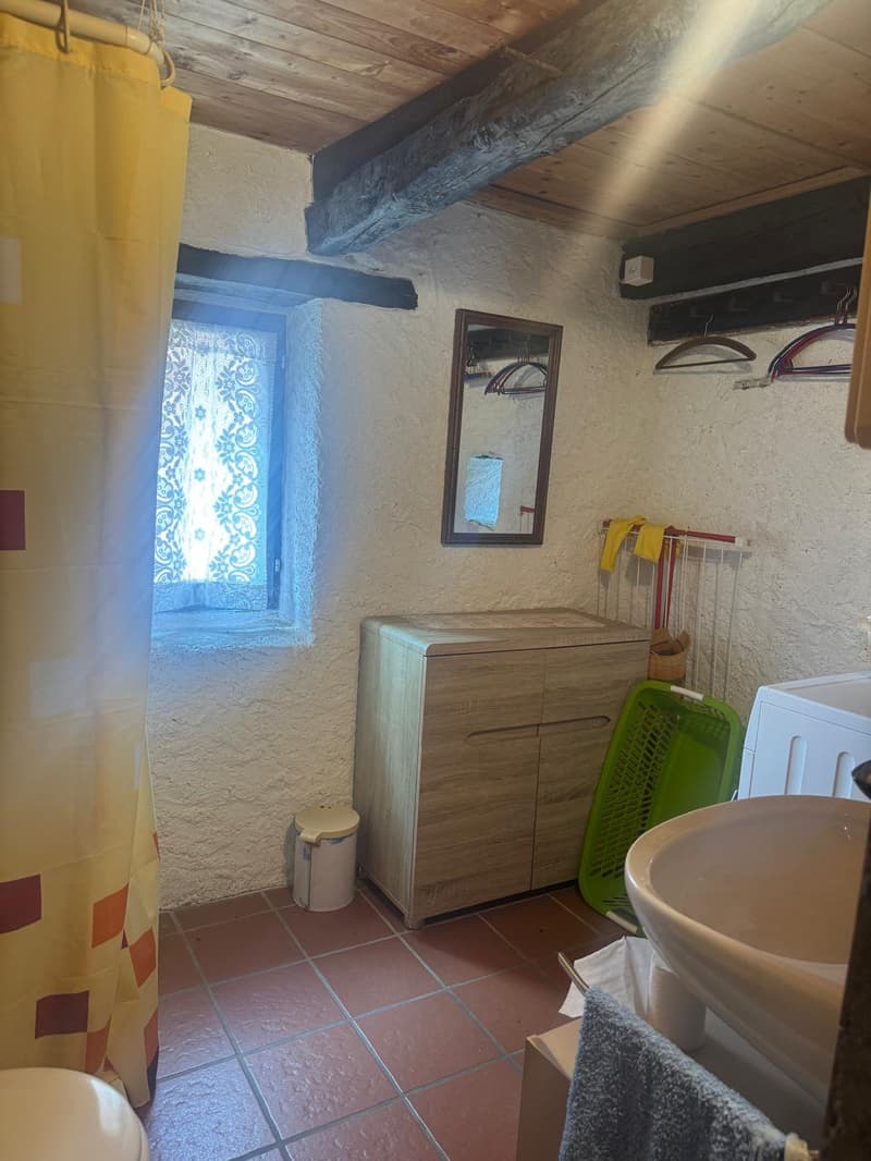 Casa rustica 4.5 locali (6)