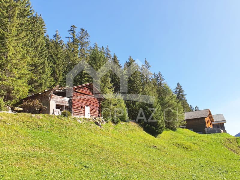 Hütte mit Zukunftspotenzial oberhalb von Savognin (1)