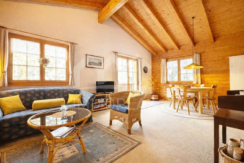 Charming holiday chalet in the ski resort (4)