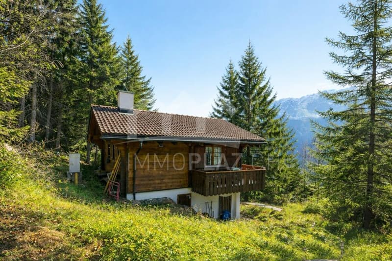 Charming holiday chalet in the ski resort (2)