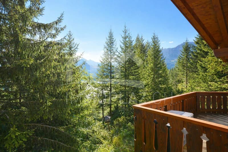 Charming holiday chalet in the ski resort (1)