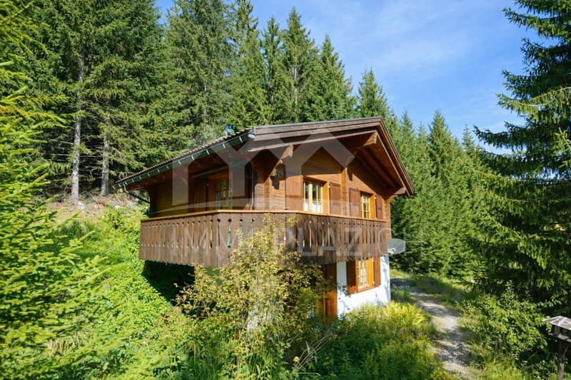Charming holiday chalet in the ski resort (3)