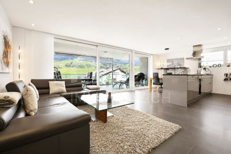 Brand new 3.5 room holiday apartment in prime location (3)