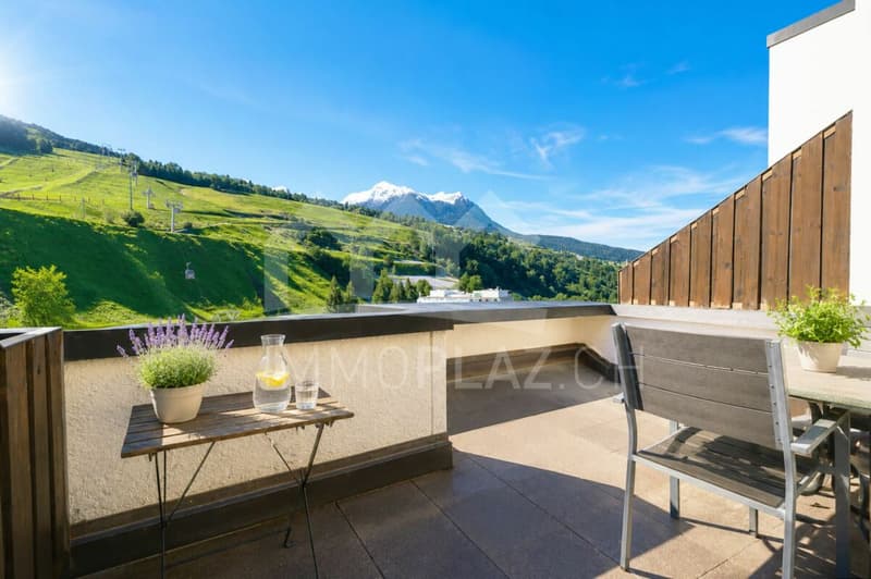 Sunny holiday apartment with terrace (1)