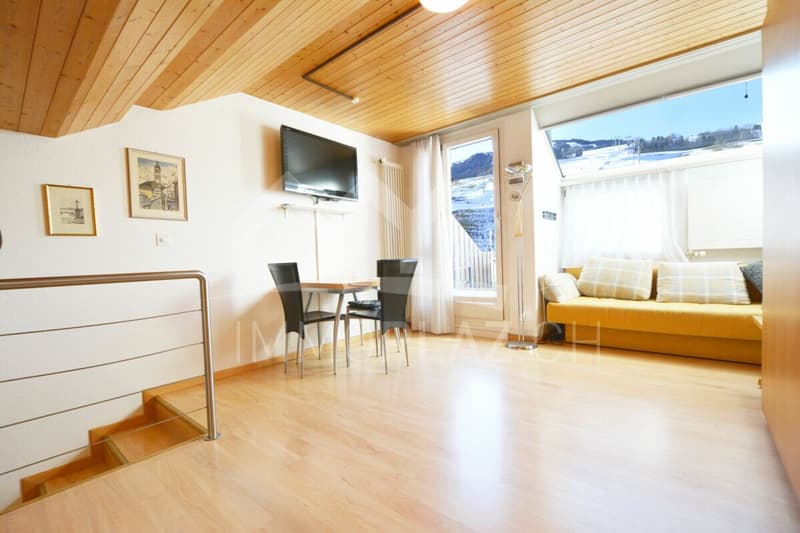 Sunny holiday apartment with terrace (3)