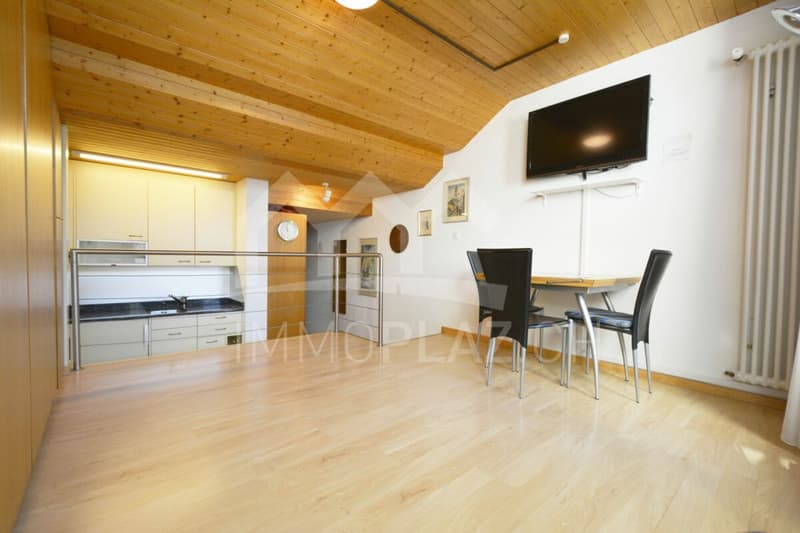 Sunny holiday apartment with terrace (4)